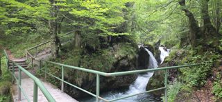 Thumbnail zu 14.06.2026 - Wanderung  Risserkogel