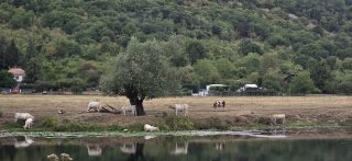 Thumbnail zu 10.08.2026 - Voyage en France,  jour 9