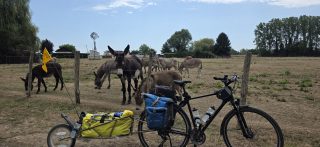 Thumbnail zu 10.08.2026 - Voyage en France,  jour 9