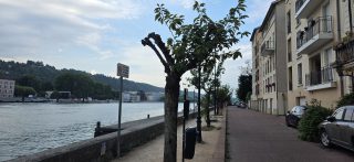 Thumbnail zu 14.08.2026 - Voyage en France, jour 13