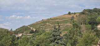 Thumbnail zu 14.08.2026 - Voyage en France, jour 13