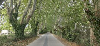 Thumbnail zu 15.08.2026 - Voyage en France, jour 14