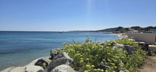 Thumbnail zu 22.08.2026 - Voyage en France,  jour 21