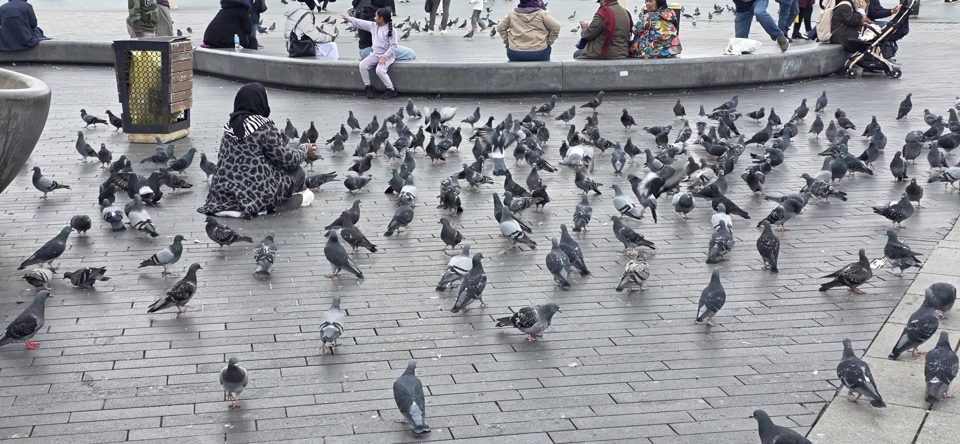 Thumbnail zu 19.10.2026 - Taksim
